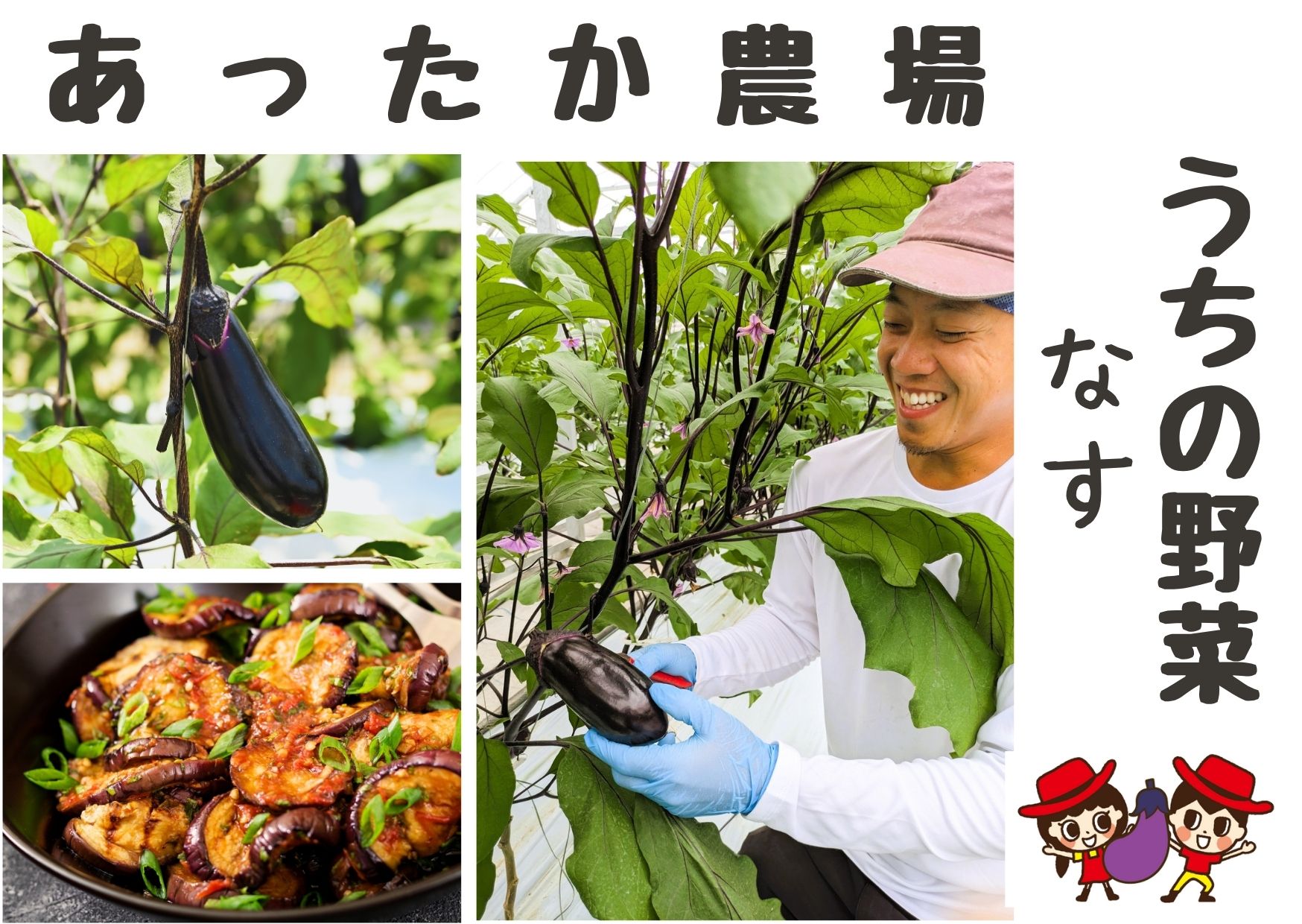 なすたかひとさま。専用 機能性表示食品「高知なす」(12kg/3本×50袋)AM【通常納期より数日要す